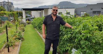 Cultivating an urban jungle proves a winning gamble for Illawarra hospitality duo