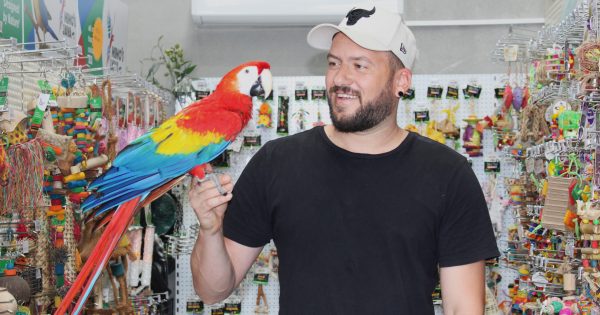 Birds of a feather flock to Illawarra Parrot Club ahead of annual bird expo