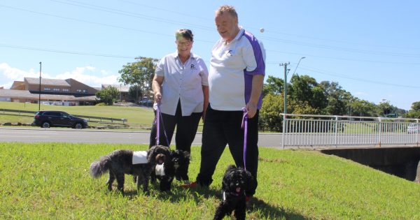 PAWS Pet Therapy provides joy and connection across Illawarra hospitals