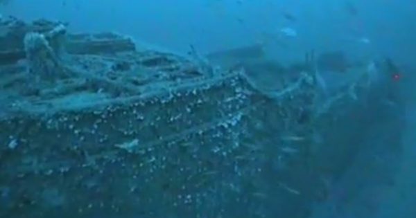 Wreckage of lost steamer Nemesis 'accidentally' discovered off Port Kembla after 120 years