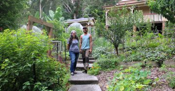 Gilly's Kitchen Garden harvests community spirit and sustainability skills with new wellness centre plans