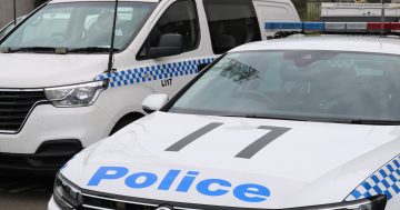 Two more men charged after alleged Unanderra assault