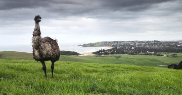 From an elusive emu to tales of the past, photographer Brad Chilby brings landscapes, history to life