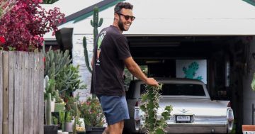 Callum Crinis cultivates cactus business from humble horticulture hobby