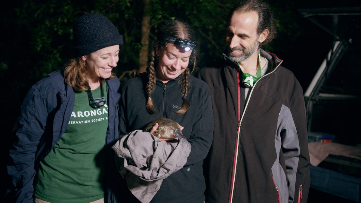 Dr Justine O'Brien, of Taronga and Dr Gilad Bino and Dr Tahneal Hawke of UNSW.