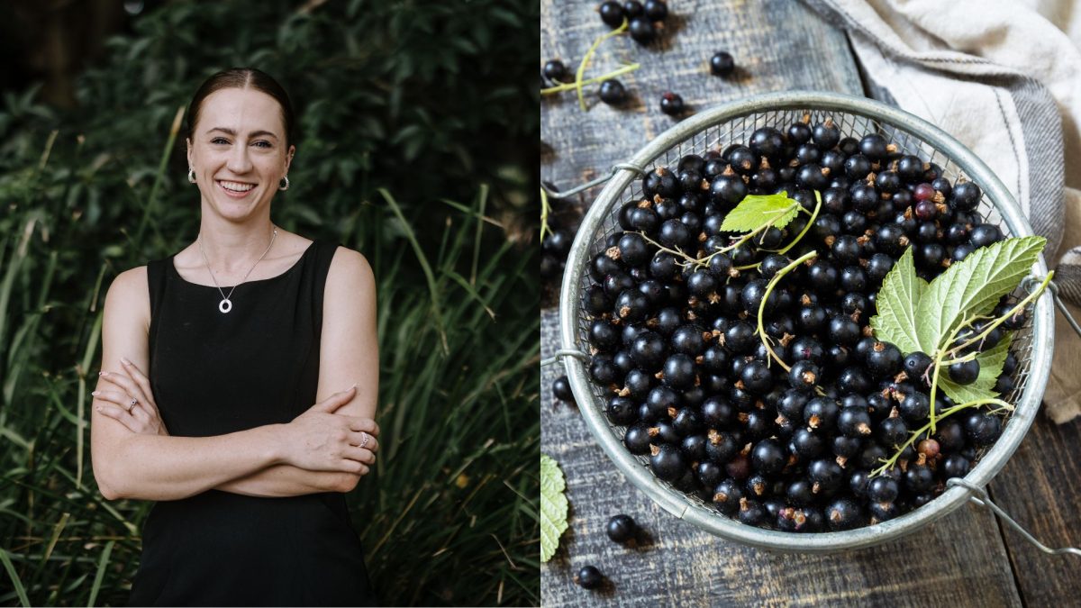 Researcher Denelle Cosier and blackcurrants.