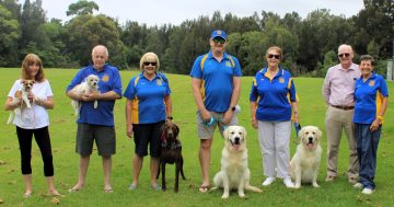 UPDATED: Paws4aCause is the Wollongong dog day changing lives right around the world