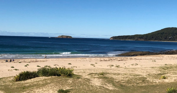 South Coast drowning victim revealed to be beloved Wollongong nurse