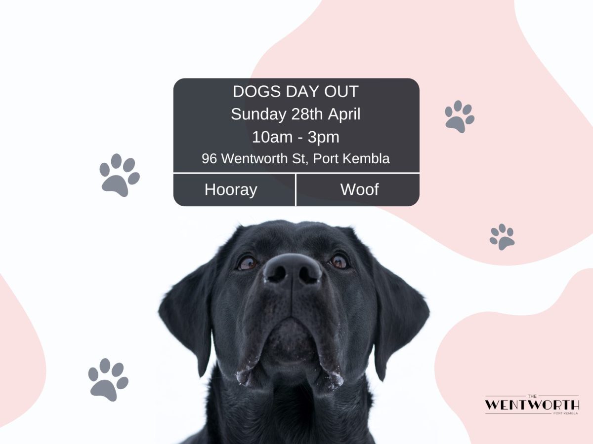 Banner for Dog Day Out 