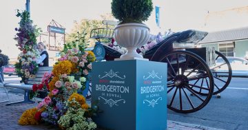 Bowral gets a regal makeover as Bridgerton fever takes over the town