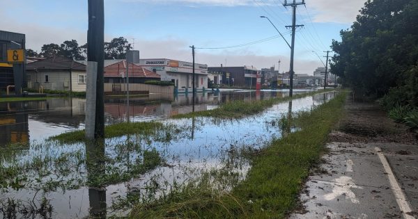 Need help after the floods? Here's a guide to support in the Illawarra