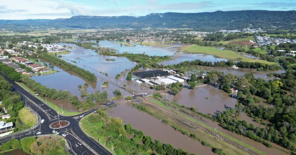 Wollongong Council votes on adapting sports seasons to changed climate