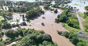 Toxic chemicals found in Illawarra platypus habitat