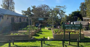 Oak Flats Community Garden takes root to cultivate more than just veggies