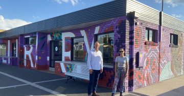 Oak Flats Library the latest addition to Shellharbour's list of marvellous murals