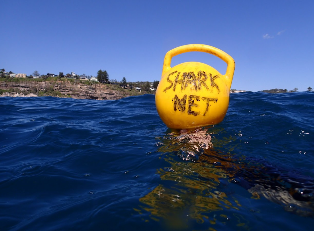 Are shark nets outdated technology, or essential for beach safety? 