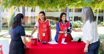 Salvos appeal for Illawarra volunteers to help raise funds for struggling Aussies