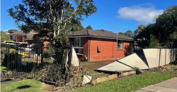 Help needed as Unanderra woman leads flood relief efforts amid influx of donations