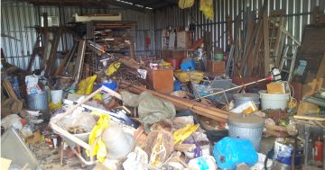 Training workshop aims to unpack hoarding - and describe the signs of a possible problem