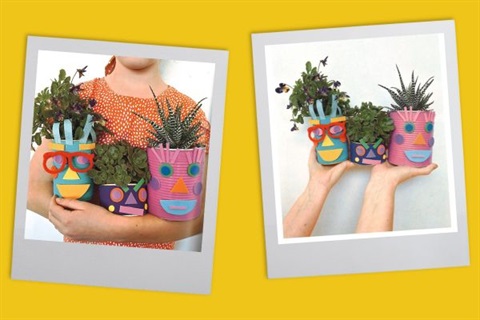Colourful potplants with faces