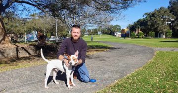 Wollongong City Council wants to set the benchmark for animal care