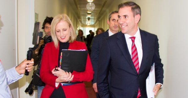 Budget delivers promised tax and energy bill relief, plus cheaper medicine