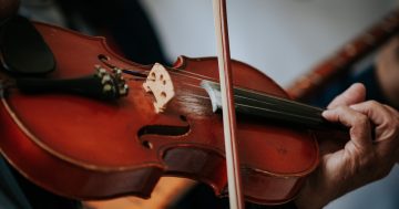 Ten things to do in the Illawarra this week (28 November - 4 December)