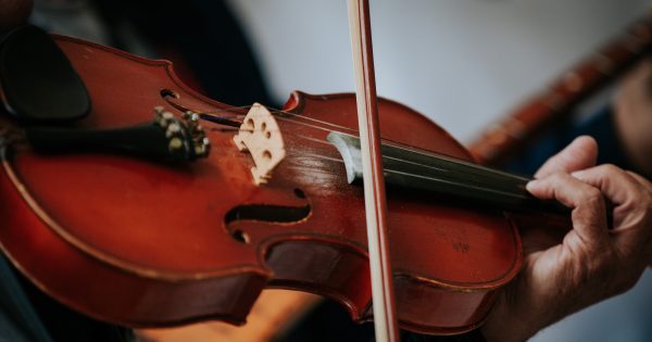 Ten things to do in the Illawarra this week (28 November - 4 December)