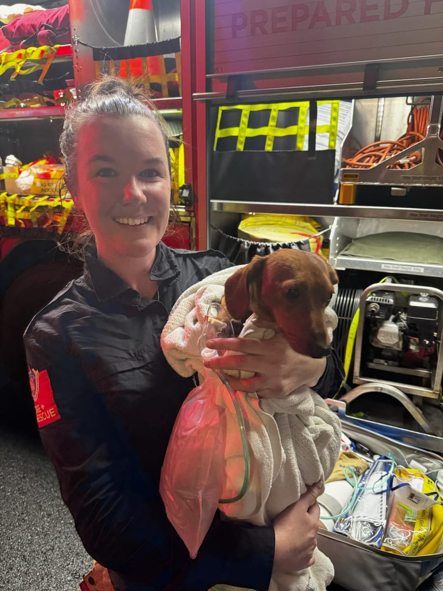 fire officer with rescued pup