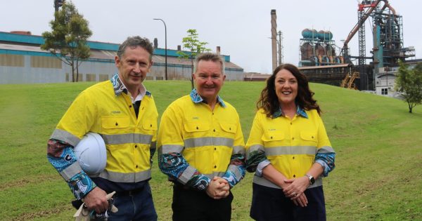 Reduced wind zone area 20 km off Illawarra coastline a 'balanced declaration': Bowen