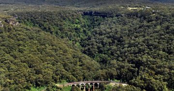 Illawarra rail commuters urged to stay home on Friday as train strike looms