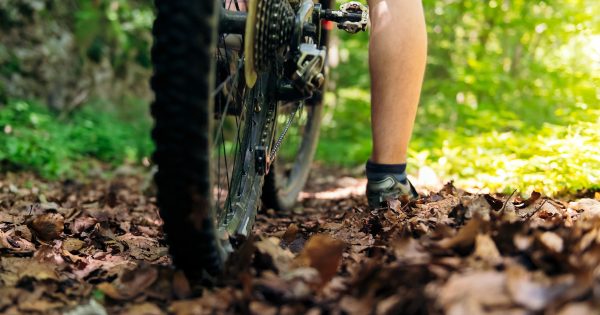 Tunnel shortcut could be key to cyclist safety on the freeway