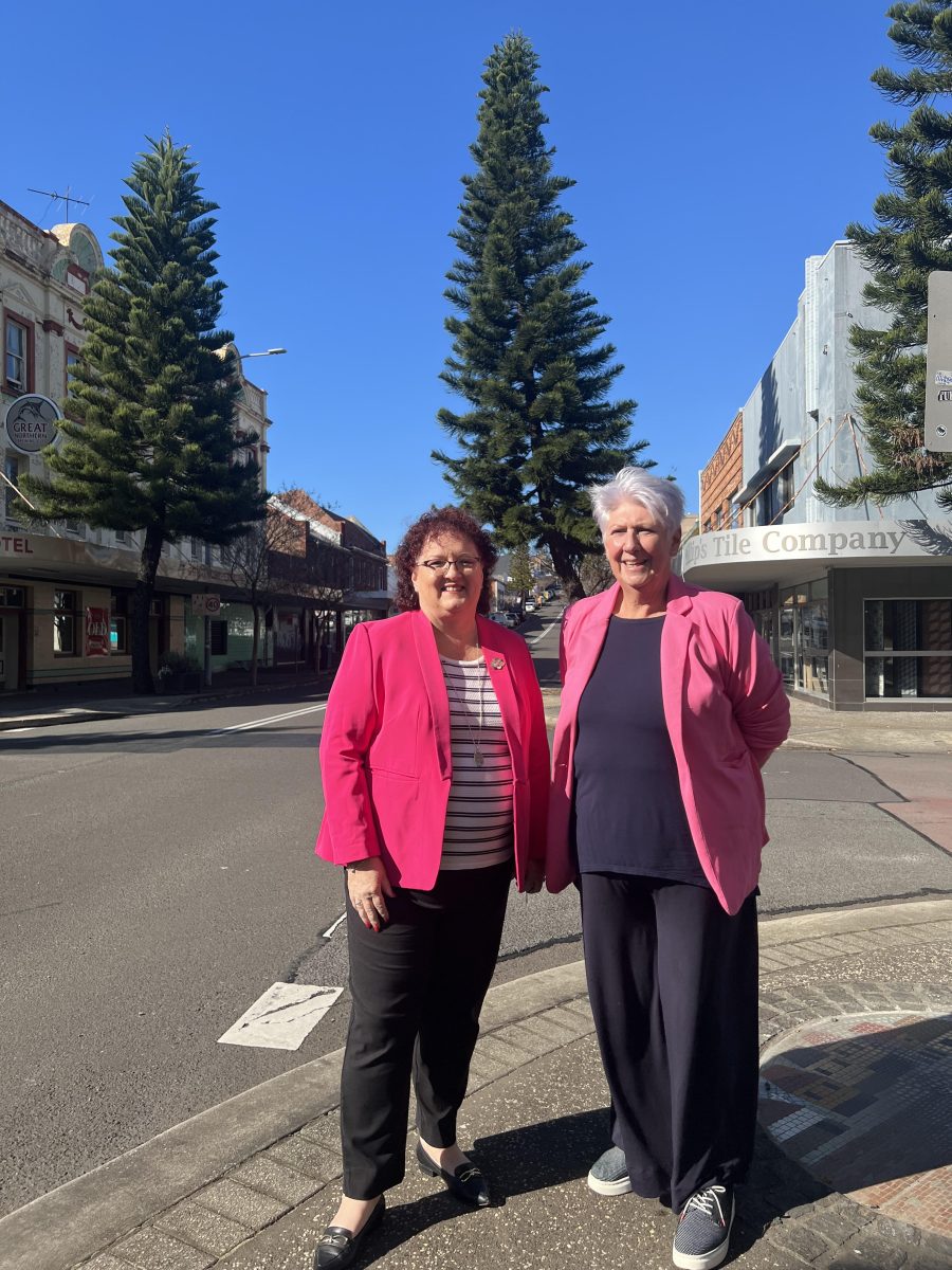 Wollongong City Council Deputy Mayor Tania Brown and Councillor Linda Campbell are excited to see Wentworth Street Port Kembla become the site of a free street festival in September.