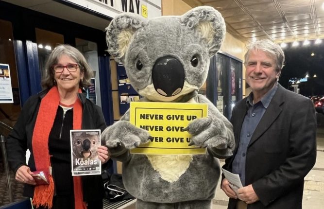 Two people and a koala