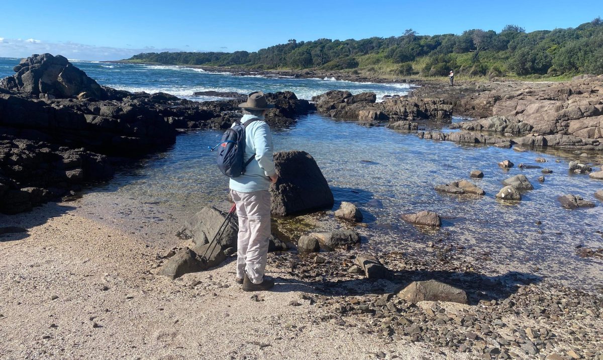 Bushwalker looking at rock pools.