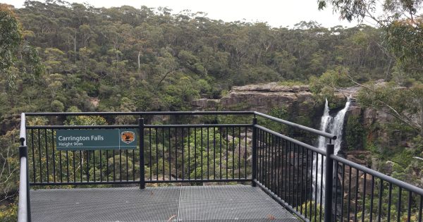 Missing bushwalker, 69, found in cold and wet Southern Highlands bushland