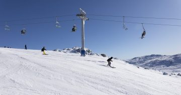 Bumper snowfall boosting ski resorts' school holiday fun as temperatures plummet