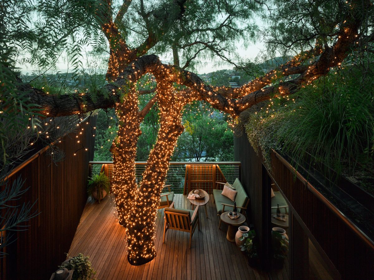 Pepper Tree Passive House combines smart design with some magical elements to create a space that's both beautiful and energy efficient. 