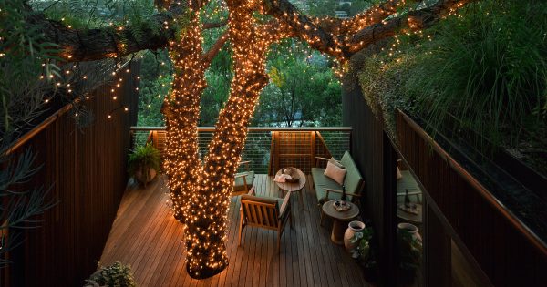 Take a peek into this Unanderra treetop home - and get some clever design tips