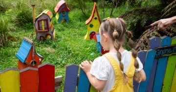 Southern Illawarra Men's Shed adds magic touch to Illawarra Fly’s Enchanted Forest