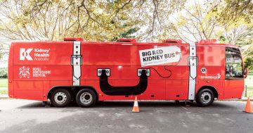 Gilmore tops the country for chronic kidney disease - if you're worried, get on board the big red bus