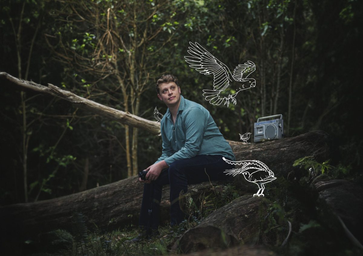 Man sits in a forest with bird illustrations outlined around him