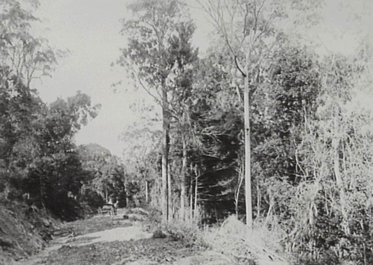 Road in the 1900s