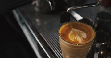 Guess which Sydney hospitality hard hitter is coming to shake up North Gong?