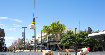 Here's how much you spend keeping the Wollongong Mall palm up a pole