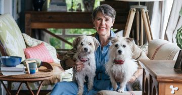 Bowral antique dealer Jane Crowley's storied journey from junkyards to treasured tales