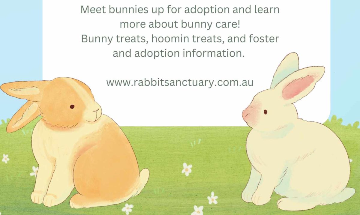 Detail of flyer for Bunnings and The Rabbit Sanctuary event