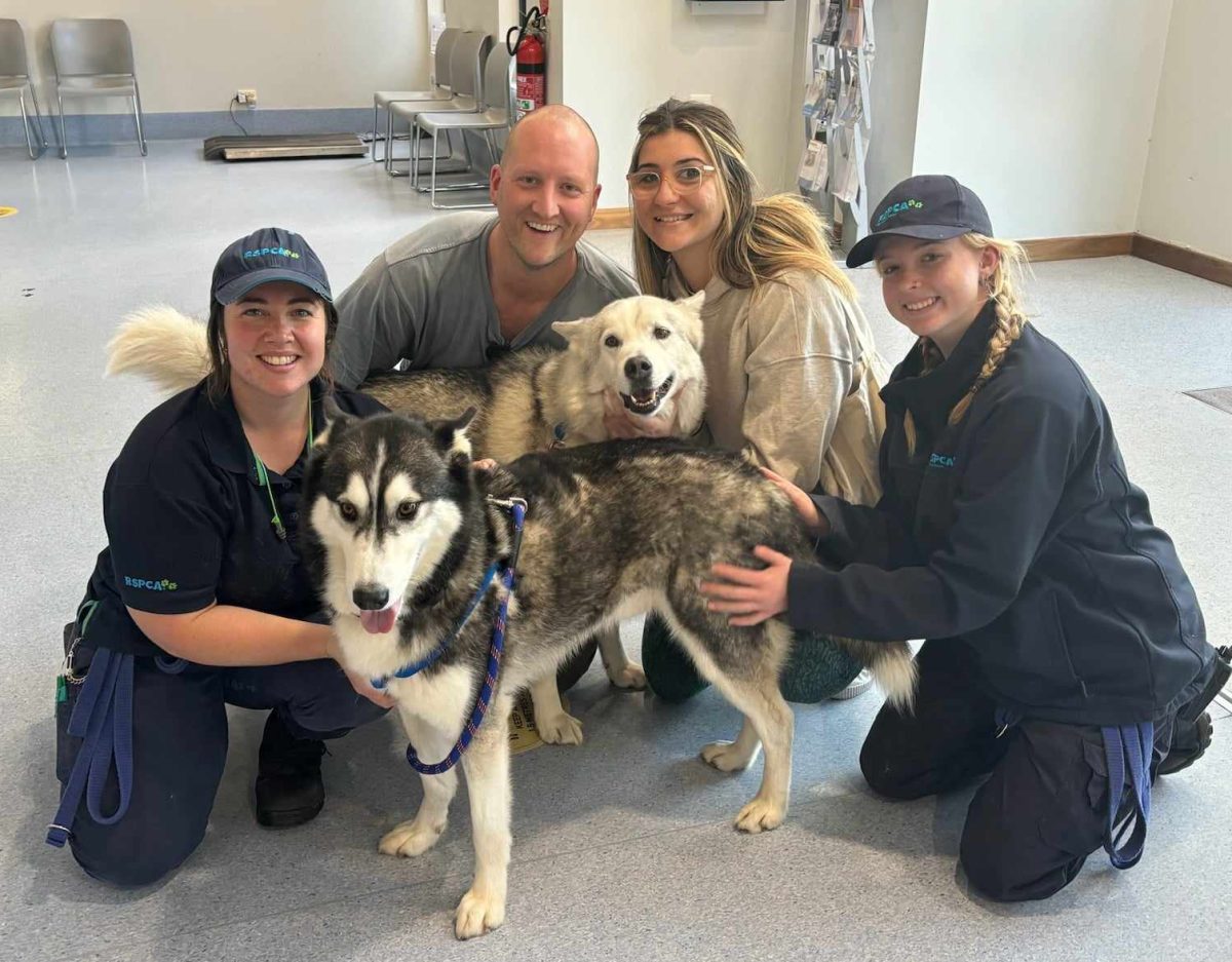 Four people with two dogs at an animal shelter