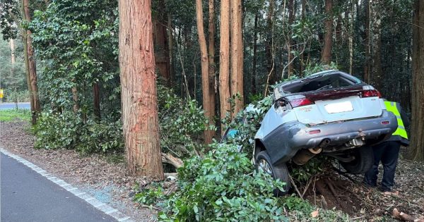 Police urge drivers to have a Plan B after Macquarie Pass crash