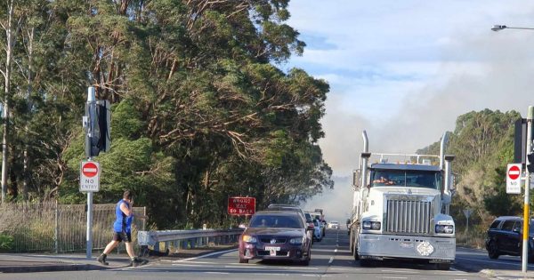 Five years after Black Summer, are we any better prepared for bushfire season?